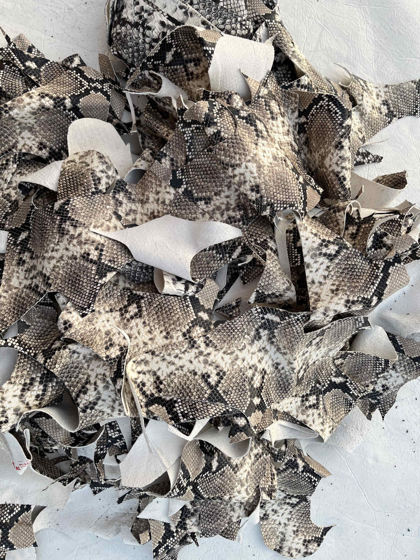 Ritagli nappa stampata pitone colore roccia