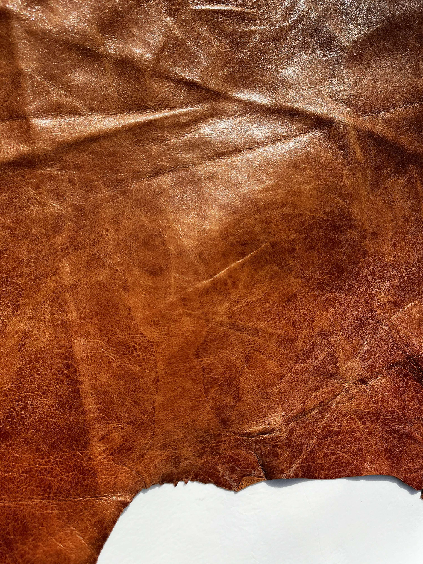 Pelle bottalata colore brandy anilina 
