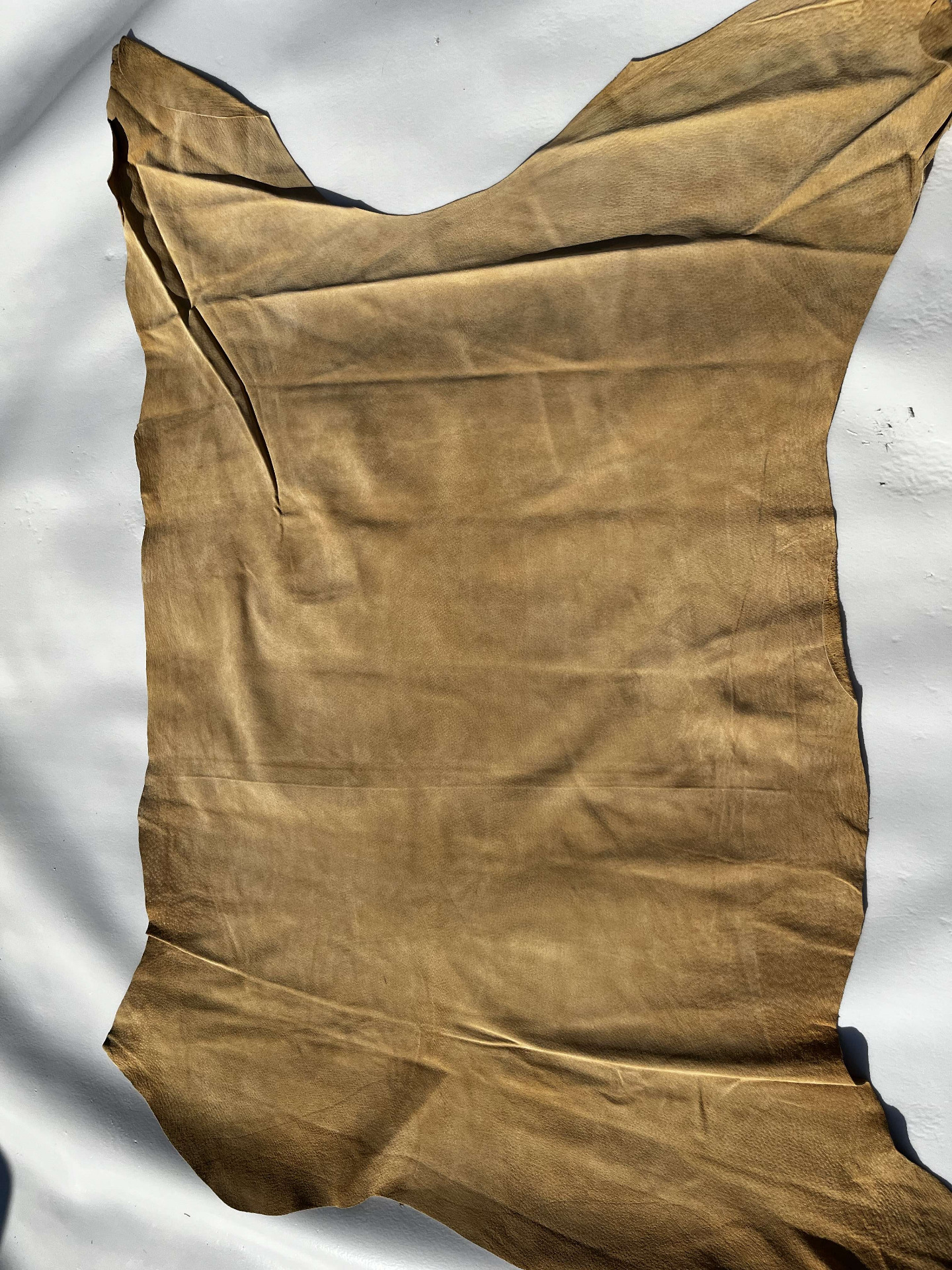 Pelle fodera maialino colore Camel