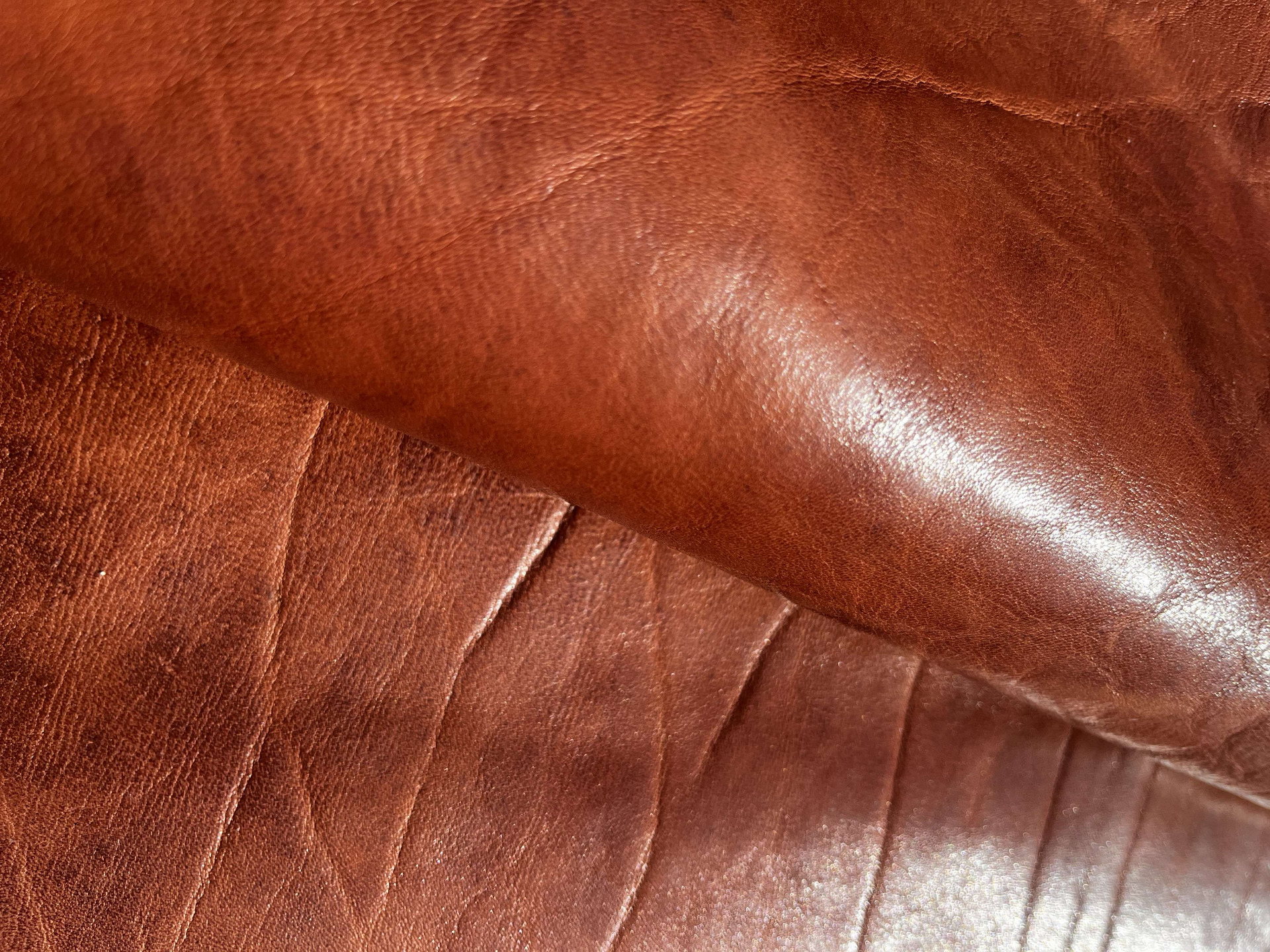 Pelle a vegetale colore brandy anilina